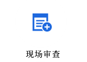 现场审查